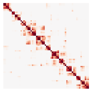 kernel